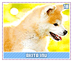 akitainu18