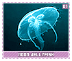 moonjellyfish01