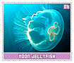 moonjellyfish06