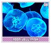 moonjellyfish08