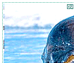 narwhals04