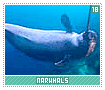 narwhals18